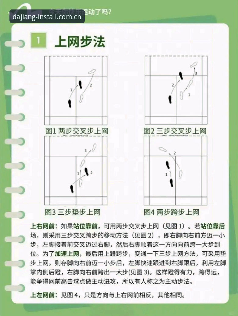 大江体育PC版下载教程深度评测：老用户教你一步到位